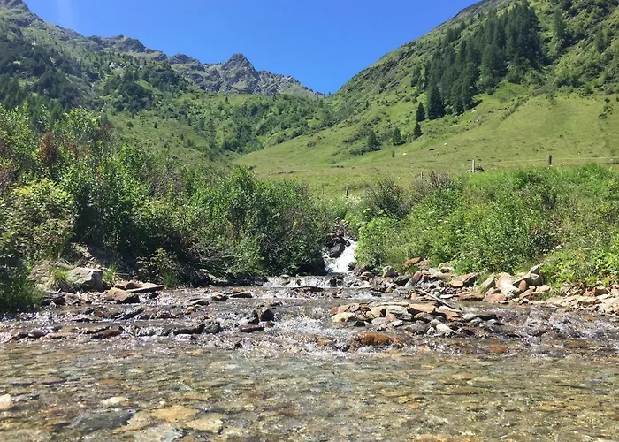 Boehm * 셍트쟈콥인데퍼러겐